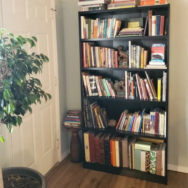 bookcase, bookshelf, wooden bookcase, metal bookcase, glass bookcase, modern bookcase, classic bookcase, tall bookcase, short bookcase, narrow bookcase, wide bookcase, open bookcase, closed bookcase, bookcase with doors, bookcase with drawers, adjustable shelves bookcase, fixed shelves bookcase, office bookcase, home bookcase, library bookcase, bookcase for kids, bookcase for living room, bookcase for bedroom, bookcase for study, bookcase for office, floating shelves, wall shelves, corner shelves, corner bookcase, modular bookcase, cube bookcase, ladder bookcase, industrial bookcase, rustic bookcase, vintage bookcase, contemporary bookcase, minimalist bookcase, bookcase with storage, bookcase with glass doors, bookcase with metal frame, bookcase with wooden frame, bookcase with back panel, bookcase without back panel, bookcase with open sides, bookcase with closed sides, bookcase with built-in lighting, bookcase with LED lights, bookcase with adjustable height shelves, bookcase with fixed height shelves, bookcase for books, bookcase for decor, bookcase for plants, bookcase for collectibles, bookcase for trophies, bookcase for files, bookcase for binders, bookcase for magazines, bookcase with cable management, bookcase with lockable doors, bookcase with sliding doors, bookcase with swing doors, bookcase with hinged doors, bookcase with tambour doors, bookcase with soft-close doors, bookcase with metal handles, bookcase with wooden handles, bookcase with decorative handles, bookcase with open storage, bookcase with closed storage, bookcase with cubbies, bookcase with compartments, bookcase with baskets, bookcase with bins, bookcase with drawers, bookcase with pull-out shelves, bookcase with sliding shelves, bookcase with foldable shelves, bookcase with removable shelves, bookcase for small spaces, bookcase for large spaces, bookcase for apartments, bookcase for offices, bookcase for schools, bookcase for libraries, bookcase for dorm rooms, bookcase for children’s rooms, bookcase for family rooms, bookcase for home offices, bookcase for commercial spaces, bookcase for retail displays, bookcase for showroom, bookcase with eco-friendly materials, bookcase with sustainable wood, bookcase with recycled materials, bookcase with GREENGUARD certification, bookcase with BIFMA certification, bookcase with easy assembly, bookcase with quick installation, bookcase with warranty, bookcase with free shipping, bookcase with heavy-duty construction, bookcase with durable finish, bookcase with scratch-resistant surface, bookcase with water-resistant finish, bookcase with fire-resistant material, bookcase with stain-resistant coating, bookcase with UV protection, bookcase with anti-corrosion coating, bookcase with powder-coated metal, bookcase with laminated wood, bookcase with veneer finish, bookcase with solid wood, bookcase with MDF, bookcase with plywood, bookcase with particleboard, bookcase with metal shelves, bookcase with wooden shelves, bookcase with glass shelves, bookcase with floating shelves, bookcase with built-in desk, bookcase with integrated storage, bookcase with multi-functional design, bookcase with modern style, bookcase with classic style, bookcase with rustic style, bookcase with farmhouse style, bookcase with industrial style, bookcase with Scandinavian design, bookcase with minimalist design, bookcase with vintage style, bookcase with contemporary look, bookcase with sleek design, bookcase with elegant design, bookcase with decorative trim, bookcase with crown molding, bookcase with base molding, bookcase with adjustable feet, bookcase with leveling feet, bookcase with caster wheels, bookcase with locking wheels, bookcase with anti-tip hardware, bookcase with wall mounting kit, bookcase with safety straps, bookcase with childproof features, bookcase with pet-friendly design, bookcase with open back, bookcase with closed back, bookcase with mirrored back, bookcase with fabric backing, bookcase with padded shelves, bookcase with soft edges, bookcase with reinforced corners, bookcase with metal brackets, bookcase with wooden brackets, bookcase with floating wall shelves, bookcase with corner wall shelves, bookcase with tiered shelves, bookcase with zigzag shelves, bookcase with asymmetrical shelves, bookcase with symmetrical shelves, bookcase with geometric design, bookcase with open cubes, bookcase with closed cubes, bookcase with glass doors and shelves, bookcase with sliding glass doors, bookcase with lockable glass doors, bookcase with LED lighting, bookcase with motion sensor lights, bookcase with rechargeable lights, bookcase with solar powered lights, bookcase with hidden compartments, bookcase with secret storage, bookcase with hidden drawers, bookcase with pull-out drawers, bookcase with side cabinets, bookcase with storage bench, bookcase with display shelves, bookcase with picture ledges, bookcase with magazine racks, bookcase with file storage, bookcase with office supplies storage, bookcase with decorative baskets, bookcase with woven baskets, bookcase with fabric bins, bookcase with plastic bins, bookcase with metal bins, bookcase with wooden bins, bookcase with stackable cubes, bookcase with modular cubes, bookcase with cube storage, bookcase with tiered storage, bookcase with multi-level storage, bookcase for books and decor, bookcase for toys and games, bookcase for collectibles, bookcase for photo albums, bookcase for vinyl records, bookcase for CDs and DVDs, bookcase for office organization, bookcase for workspace, bookcase for classroom, bookcase for studio, bookcase for workshop, bookcase for garage, bookcase for storage room, bookcase for basement, bookcase for attic, bookcase for library archive, bookcase for archive storage, bookcase for retail displays, bookcase for product display, bookcase for merchandising, bookcase for showroom display, bookcase for home theater, bookcase for entertainment center, bookcase with media storage, bookcase with sound system integration, bookcase with cable routing, bookcase with power outlets, bookcase with USB ports, bookcase with smart home integration, bookcase with voice control, bookcase with Bluetooth speakers, bookcase with hidden speakers, bookcase with built-in charging station, bookcase with wireless charging, bookcase with tech storage, bookcase with gadget storage, bookcase with game storage, bookcase with board game storage, bookcase for puzzle storage, bookcase for craft supplies, bookcase for hobby supplies, bookcase for art supplies, bookcase with craft drawers, bookcase with art display shelves, bookcase with plant stands, bookcase with flower display, bookcase with succulent shelves, bookcase with hanging planters, bookcase with integrated planters, bookcase with aquarium stand, bookcase with pet area, bookcase with cat shelves, bookcase with dog beds, bookcase with toy storage, bookcase with child storage, bookcase with educational toys, bookcase with learning materials, bookcase with puzzle storage, bookcase with games storage, bookcase with multi-purpose storage, bookcase with extra-large shelves, bookcase with narrow shelves, bookcase with deep shelves, bookcase with shallow shelves, bookcase with adjustable shelf height, bookcase with fixed shelves, bookcase with sliding shelves, bookcase with foldable shelves, bookcase with removable shelves, bookcase with pull-out shelves, bookcase with tiered shelves, bookcase with decorative shelves, bookcase with illuminated shelves, bookcase with display lighting, bookcase with under shelf lighting, bookcase with LED strips, bookcase with strip lighting, bookcase with spotlighting, bookcase with cabinet doors, bookcase with sliding cabinet doors, bookcase with hinged cabinet doors, bookcase with lockable cabinet doors, bookcase with soft-close doors, bookcase with glass cabinet doors, bookcase with metal cabinet doors, bookcase with wooden cabinet doors, bookcase with decorative cabinet doors, bookcase with storage cabinets, bookcase with hidden cabinets, bookcase with built-in cabinets, bookcase with under cabinet lighting, bookcase with over cabinet storage, bookcase with side cabinet storage, bookcase with corner cabinet storage, bookcase with built-in drawers, bookcase with pull-out drawers, bookcase with locking drawers, bookcase with soft-close drawers, bookcase with metal drawers, bookcase with wooden drawers, bookcase with plastic drawers, bookcase with decorative drawers, bookcase with adjustable drawers, bookcase with removable drawers, bookcase with file drawers, bookcase with box storage, bookcase with basket storage, bookcase with bin storage, bookcase with crate storage, bookcase with trunk storage, bookcase with chest storage, bookcase with storage ottoman, bookcase with storage bench, bookcase with seat and storage, bookcase with seating area, bookcase with desk and shelves, bookcase with work station, bookcase with computer desk, bookcase with laptop desk, bookcase with study area, bookcase with homework station, bookcase with office storage, bookcase with office organization, bookcase with workspace optimization, bookcase with space saving design, bookcase with multi-functional design, bookcase with customizable shelves, bookcase with modular design, bookcase with expandable shelves, bookcase with foldable design, bookcase with portable design, bookcase with lightweight design, bookcase with heavy-duty design, bookcase with commercial grade materials, bookcase with residential grade materials, bookcase with eco-friendly design, bookcase with sustainable manufacturing, bookcase with handcrafted design, bookcase with machine-made precision, bookcase with quality craftsmanship, bookcase with premium materials, bookcase with affordable price, bookcase with luxury price, bookcase with mid-range price, bookcase with discount price, bookcase with clearance sale, bookcase with bundle offers, bookcase with free shipping, bookcase with warranty, bookcase with customer support, bookcase with positive reviews, bookcase with high ratings, bookcase with best seller status, bookcase with new arrivals, bookcase with trending styles, bookcase with classic styles, bookcase with modern styles, bookcase with vintage styles, bookcase with contemporary styles, bookcase with rustic styles, bookcase with farmhouse styles, bookcase with industrial styles, bookcase with Scandinavian styles, bookcase with minimalist styles, bookcase with eclectic styles, bookcase with transitional styles, bookcase with coastal styles, bookcase with bohemian styles, bookcase with mid-century modern styles, bookcase with traditional styles, bookcase with ornate styles, bookcase with simple styles, bookcase with sleek styles, bookcase with elegant styles, bookcase with bold styles, bookcase with neutral colors, bookcase with bright colors, bookcase with dark colors, bookcase with natural wood finish, bookcase with painted finish, bookcase with stained finish, bookcase with lacquered finish, bookcase with matte finish, bookcase with glossy finish, bookcase with textured finish, bookcase with smooth finish, bookcase with distressed finish, bookcase with reclaimed wood finish, bookcase with polished finish, bookcase with hand painted details, bookcase with carved details, bookcase with laser cut details, bookcase with metal accents, bookcase with wood accents, bookcase with glass accents, bookcase with leather accents, bookcase with fabric accents, bookcase with unique design, bookcase with artistic design, bookcase with creative design, bookcase with innovative design, bookcase with functional design, bookcase with versatile design, bookcase with space-saving design, bookcase with customizable design, bookcase for books, bookcase for decor, bookcase for storage, bookcase for display, bookcase for organization, bookcase for office, bookcase for home, bookcase for business, bookcase for library, bookcase for school, bookcase for retail, bookcase for commercial use, bookcase for residential use, bookcase for small rooms, bookcase for large rooms, bookcase for apartments, bookcase for houses, bookcase for studios, bookcase for condos, bookcase for dorms, bookcase for basements, bookcase for attics, bookcase for garages, bookcase for workshops, bookcase for showrooms, bookcase for salons, bookcase for studios, bookcase for creative spaces, bookcase for art studios, bookcase for music rooms, bookcase for reading rooms, bookcase for media rooms, bookcase for home theaters, bookcase for gaming rooms, bookcase for kids rooms, bookcase for teen rooms, bookcase for guest rooms, bookcase for master bedrooms, bookcase for hallways, bookcase for entryways, bookcase for foyers, bookcase for mudrooms, bookcase for laundry rooms, bookcase for kitchens, bookcase for dining rooms, bookcase for sunrooms, bookcase for patios, bookcase for outdoor use, bookcase for covered patios, bookcase for enclosed porches, bookcase for balconies, bookcase for decks, bookcase for gardens, bookcase for greenhouses, bookcase for offices, bookcase for corporate offices, bookcase for startups, bookcase for coworking spaces, bookcase for telecommuting, bookcase for home offices, bookcase for remote work, bookcase for study rooms, bookcase for classrooms, bookcase for lecture halls, bookcase for meeting rooms, bookcase for conference rooms, bookcase for waiting areas, bookcase for lounges, bookcase for cafes, bookcase for restaurants, bookcase for hotels, bookcase for resorts, bookcase for hospitals, bookcase for clinics, bookcase for medical offices, bookcase for dental offices, bookcase for veterinary clinics, bookcase for spas, bookcase for wellness centers, bookcase for fitness centers, bookcase for gyms, bookcase for yoga studios, bookcase for libraries, bookcase for archives, bookcase for museums, bookcase for galleries, bookcase for event spaces, bookcase for exhibition halls, bookcase for theaters, bookcase for auditoriums, bookcase for concert halls, bookcase for community centers, bookcase for clubs, bookcase for churches, bookcase for places of worship, bookcase for schools, bookcase for universities, bookcase for training centers, bookcase for educational institutions, bookcase for government buildings, bookcase for municipal buildings, bookcase for law offices, bookcase for legal offices, bookcase for real estate offices, bookcase for financial offices, bookcase for accounting offices, bookcase for consulting offices, bookcase for architectural offices, bookcase for engineering offices, bookcase for tech companies, bookcase for startups, bookcase for creative agencies, bookcase for advertising agencies, bookcase for marketing agencies, bookcase for design studios, bookcase for photography studios, bookcase for video production studios, bookcase for IT firms, bookcase for call centers, bookcase for customer service, bookcase for reception areas, bookcase for waiting rooms, bookcase for break rooms, bookcase for lounges, bookcase for common areas, bookcase for coworking spaces, bookcase for incubators, bookcase for accelerators, bookcase for innovation hubs, bookcase for maker spaces, bookcase for community centers, bookcase for nonprofit organizations, bookcase for charitable organizations, bookcase for foundations, bookcase for think tanks, bookcase for research centers, bookcase for labs, bookcase for studios, bookcase for workshops, bookcase for art galleries, bookcase for museums, bookcase for cultural centers, bookcase for heritage sites, bookcase for preservation, bookcase for restoration projects, bookcase for archives, bookcase for record keeping, bookcase for document storage, bookcase for file storage, bookcase for paperwork, bookcase for office organization, bookcase for workspace efficiency, bookcase for productivity, bookcase for collaboration spaces, bookcase for teamwork, bookcase for brainstorming rooms, bookcase for creative thinking, bookcase for innovation, bookcase for knowledge management, bookcase for information storage, bookcase for data storage, bookcase for digital files,