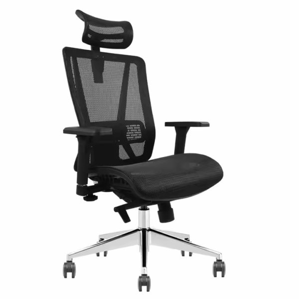office chairs, ergonomic office chairs, executive chairs, task chairs, mesh office chairs, leather office chairs, high back office chairs, mid-back chairs, low back office chairs, swivel office chairs, rolling office chairs, adjustable office chairs, office chairs with armrests, office chairs without arms, office chairs with lumbar support, ergonomic desk chairs, computer chairs, office desk chairs, home office chairs, office chairs for back pain, comfortable office chairs, modern office chairs, stylish office chairs, heavy-duty office chairs, breathable mesh chairs, office chairs with wheels, reclining office chairs, padded office chairs, office chairs with headrest, executive leather chairs, ergonomic mesh chairs, office chairs with footrest, tilt mechanism chairs, adjustable height office chairs, office chairs with back support, ergonomic swivel chairs, fabric office chairs, office chairs with cushion, orthopedic office chairs, posture support office chairs, rolling desk chairs, office chairs for long hours, comfortable work chairs, armchairs for office, professional office chairs, ergonomic work chairs, supportive office chairs, adjustable lumbar chairs, durable office chairs, eco-friendly office chairs, premium office chairs, ergonomic seating, workplace chairs, office task chairs, home ergonomic chairs, ergonomic office chairs for home, posture-correcting chairs, lumbar support desk chairs, executive high-back chairs, mesh back chairs, ergonomic rolling chairs, back-friendly office chairs, quality office chairs, sit-stand compatible chairs, breathable desk chairs, supportive ergonomic chairs, smart office chairs, mobility-friendly office chairs, office chairs with casters, high-performance chairs, memory foam office chairs,