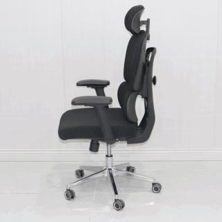 orthopedic office chair, ergonomic office chair, full fabric office chair, comfortable office chair, lumbar support chair, mesh back chair, adjustable office chair, swivel office chair, high back office chair, executive office chair, workstation chair, computer chair, desk chair, home office chair, professional office chair, ergonomic desk chair, breathable fabric chair, office seating, office furniture, posture support chair, memory foam office chair, office chair with armrests, padded office chair, soft fabric chair, modern office chair, sleek office chair, office chair for back pain, orthopedic desk chair, supportive office chair, ergonomic seating, adjustable height office chair, rolling office chair, caster office chair, chair with wheels, swivel desk chair, fabric ergonomic chair, breathable mesh office chair, office chair for long hours, office chair for home, office chair for work, ergonomic executive chair, office chair with cushion, comfortable work chair, office chair for computer, office chair for adults, office chair for professionals, office chair for students, ergonomic task chair, orthopedic computer chair, office chair with lumbar pillow, ergonomic back support chair, adjustable armrest chair, office chair for posture, orthopedic high back chair, durable office chair, office chair for gaming, office chair for productivity, chair with breathable fabric, office chair with tilt, reclining office chair, ergonomic swivel chair, office chair with wheels and casters, office chair with fabric seat, full fabric desk chair, orthopedic fabric chair, ergonomic fabric chair, office chair for men, office chair for women, office chair for elderly, office chair for seniors, office chair for teachers, office chair for programmers, orthopedic seating solution, office chair for office workers, executive fabric chair, office chair with sturdy base, ergonomic furniture, lumbar support desk chair, orthopedic office seating, office chair for posture correction, premium office chair, office chair with soft cushion, ergonomic high back chair, orthopedic swivel chair, ergonomic task seating,