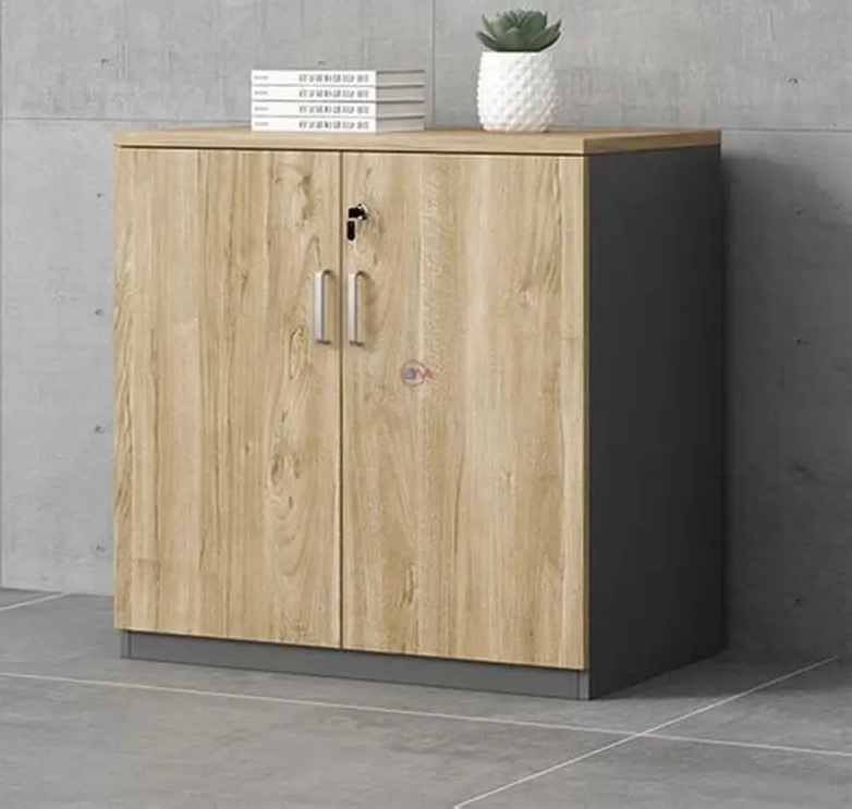 office cabinet, office cabinets, office storage cabinet, office filing cabinet, office steel cabinet, office wooden cabinet, office metal cabinet, office storage furniture, office furniture cabinet, office filing furniture, office cabinet with drawers, office cabinet with shelves, office cabinet with doors, office cabinet with lock, office cabinet with keys, office cabinet with glass door, office cabinet with sliding door, office cabinet with swing door, office cabinet with lockable drawers, office cabinet with multiple compartments, office cabinet for files, office cabinet for documents, office cabinet for stationery, office cabinet for office supplies, office cabinet for storage, office cabinet for archive, office cabinet for library, office cabinet for workspace, office cabinet for home office, office cabinet for corporate office, office cabinet for manager cabin, office cabinet for executive office, office cabinet for CEO cabin, office cabinet for director office, office cabinet for professional office, office cabinet for commercial use, office cabinet for business, office cabinet for company, office cabinet for organization, office cabinet for admin office, office cabinet for HR department, office cabinet for finance department, office cabinet for operations department, office cabinet for sales office, office cabinet for marketing office, office cabinet for meeting room, office cabinet for conference room, office cabinet for training room, office cabinet for classroom, office cabinet for school office, office cabinet for college office, office cabinet for hospital office, office cabinet for clinic office, office cabinet for bank office, office cabinet for government office, office cabinet for legal office, office cabinet for law firm, office cabinet for accountant office, office cabinet for architect office, office cabinet for designer office, office cabinet for engineer office, office cabinet for teacher office, office cabinet for professor office, office cabinet for student office, office