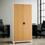2 Door Steel Storage Cabinet