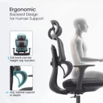 Executive Orthopedic Office Chair - Image 8