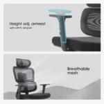 Executive Orthopedic Office Chair - Image 4