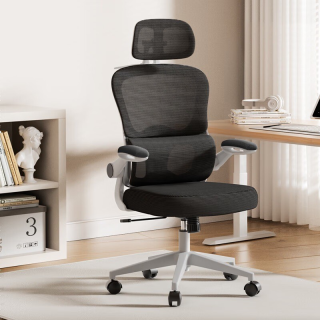 office chair, ergonomic office chair, executive office chair, modern office chair, luxury office chair, premium office chair, affordable office chair, cheap office chair, durable office chair, comfortable office chair, adjustable office chair, swivel office chair, rolling office chair, mesh office chair, leather office chair, high back office chair, mid back office chair, low back office chair, orthopedic office chair, lumbar support office chair, posture correct office chair, computer office chair, home office chair, study office chair, work chair, desk chair, task chair, executive swivel chair, manager office chair, director chair, boss chair, corporate office chair, professional office chair, business office chair, commercial office chair, office seating chair, office workstation chair, office furniture chair, office computer chair, office mesh chair, breathable office chair, padded office chair, cushioned office chair, adjustable height chair, tilt recline chair, 360 swivel chair, caster wheel chair, office chair with wheels, office chair with armrest, armless office chair, adjustable armrest chair, headrest office chair, back support chair, spine support chair, long sitting chair, all day comfort chair, heavy duty office chair, lightweight office chair, steel frame office chair, metal base office chair, nylon base office chair, chrome base office chair, PU leather chair, fabric office chair, faux leather chair, soft cushion chair, ergonomic mesh back chair, executive leather chair, modern mesh chair, gaming style office chair, conference office chair, visitor office chair, reception office chair, meeting chair, boardroom chair, training chair, seminar chair, waiting chair, guest chair, visitor seating chair, office chair Kenya, office chair Nairobi,office chair in Nairobi, office chair in Mombasa, office chair in Kisumu, office chair in Nakuru, office chair in Eldoret, office chair in Thika, office chair in Kiambu, office chair in Machakos, office chair in Kitengela, office chair in Ruiru, office chair in Juja, office chair in Limuru, office chair in Kikuyu, office chair in Ngong, office chair in Kajiado, office chair in Naivasha, office chair in Nyeri, office chair in Meru, office chair in Embu, office chair in Kericho, office chair in Kisii, office chair in Bungoma, office chair in Kakamega, office chair in Busia, office chair in Siaya, office chair in Homa Bay, office chair in Migori, office chair in Narok, office chair in Bomet, office chair in Voi, office chair in Taveta, office chair in Kilifi, office chair in Malindi, office chair in Mtwapa, office chair in Watamu, office chair in Diani, office chair in Ukunda, office chair in Kwale, office chair in Lamu, office chair in Garissa, office chair in Wajir, office chair in Mandera, office chair in Marsabit, office chair in Isiolo, office chair in Nanyuki, office chair in Laikipia, office chair in Kabarnet, office chair in Maralal, office chair in Kitale, office chair in Webuye, office chair in Mumias, office chair in Bungoma town, office chair in Eldama Ravine, office chair in Gilgil, office chair in Molo, office chair in Njoro, office chair in Rongai Nakuru, office chair in Bahati Nakuru, office chair in Subukia, office chair in Ol Kalou, office chair in Nyahururu